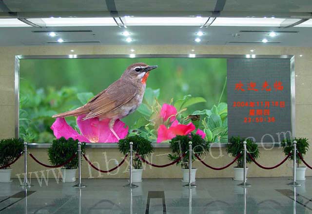 不銹鋼扭轉彈簧
